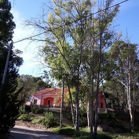 Casas Rurales "Paraje El Cajal" Ojós 外观 照片
